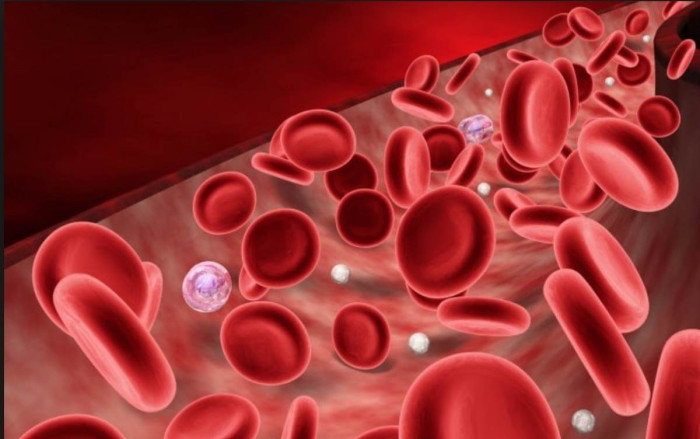  مسمومیت خونی؛ خطرناک اما قابل درمان