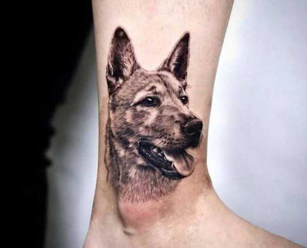 طرح تاتو سگ