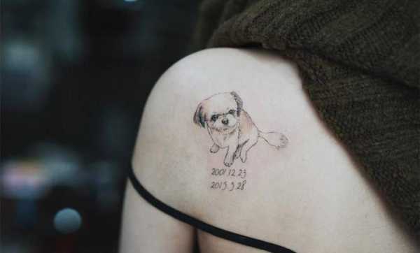 طرح تاتو سگ